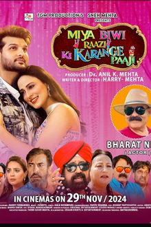 Watch Miya Biwi Raazi Ki Karange Paaji (2024) Online Full Movie Free