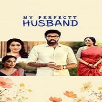 Watch My Perfectt Husband (2024) Online Full Movie Free