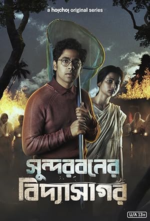 Watch Sundarbaner Vidyasagar (2022) Online Full Movie Free