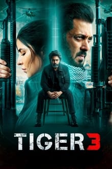 Watch Tiger 3 (2023) Online Full Movie Free